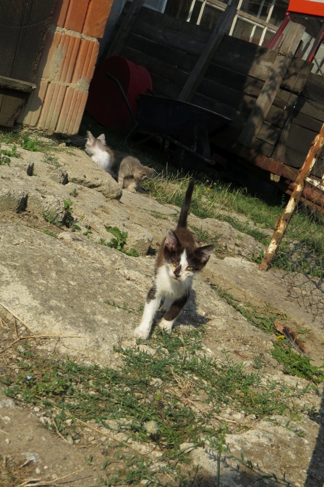 Content photo