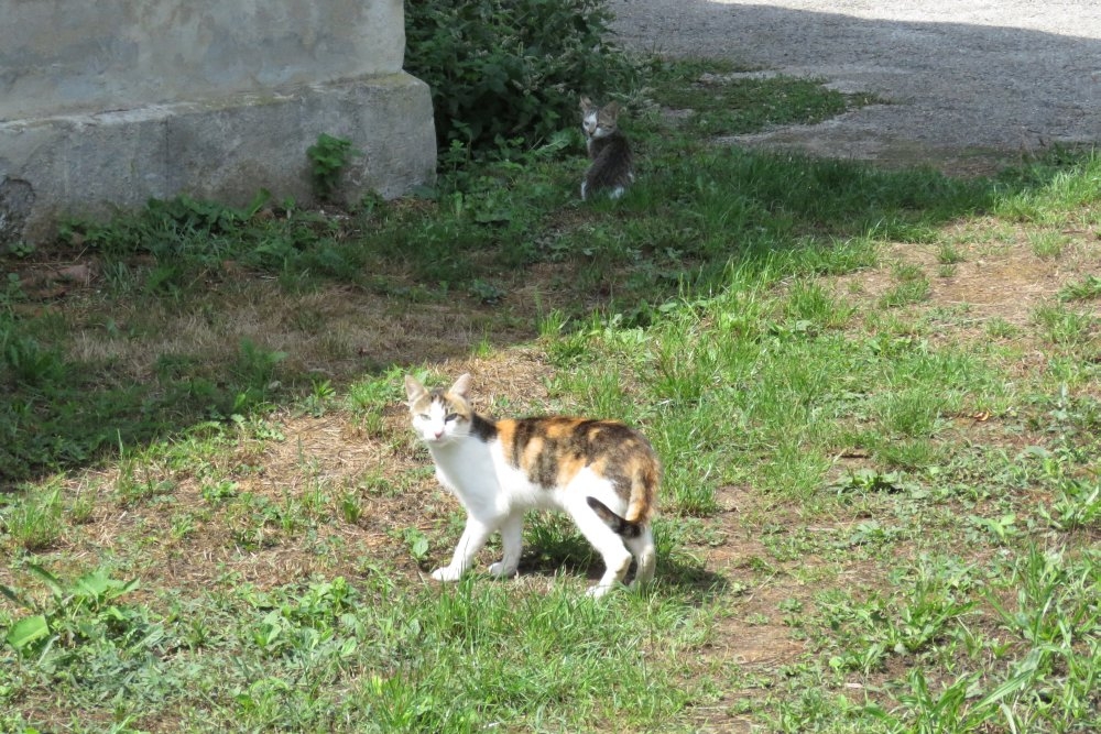 Content photo