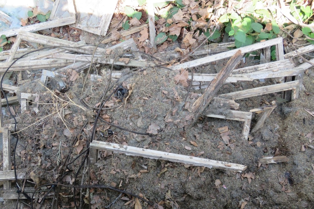 Content photo