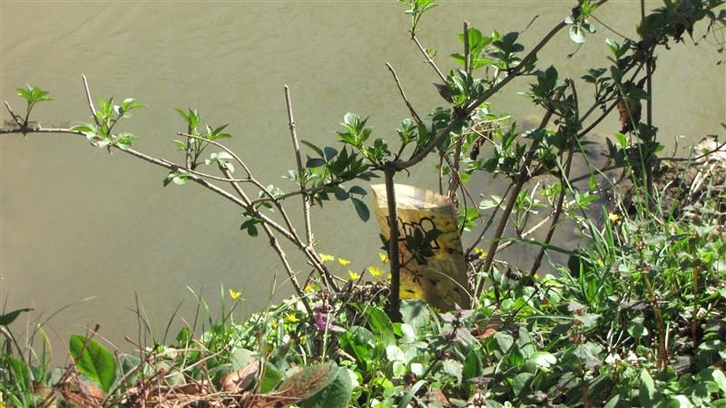 Content photo