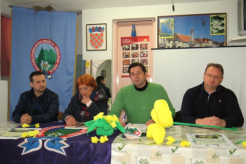 Content photo