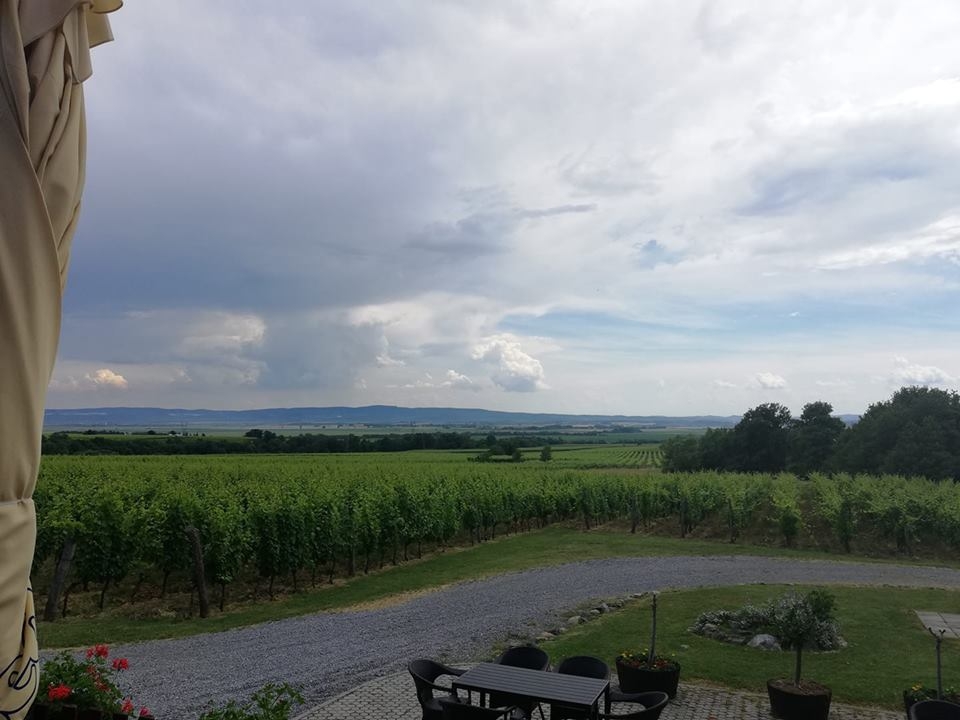 Content photo