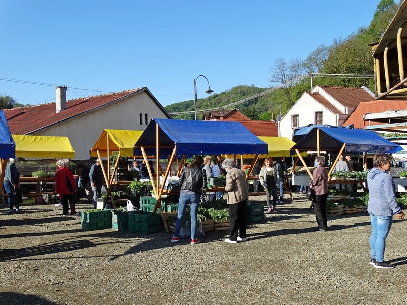 Content photo